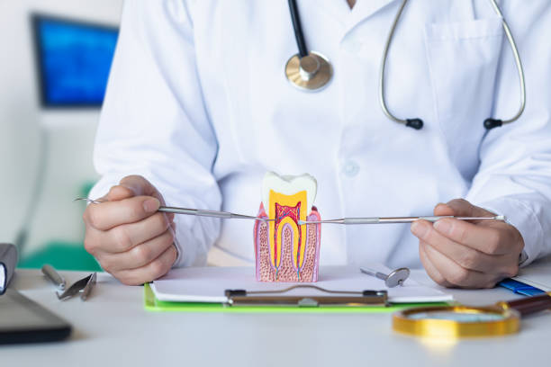 Trusted CA Emergency Dental Service Experts